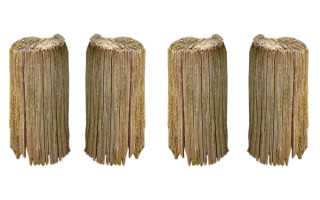 柿饼吃多了会怎样