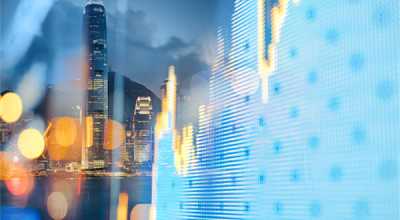 紫背天葵是什么