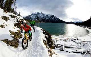 冰糖柚吃了上火吗，冰糖柚吃了会胖吗