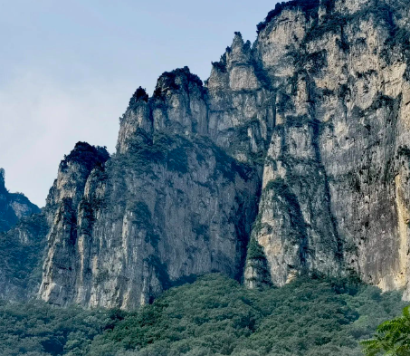 孜然牛肉的做法