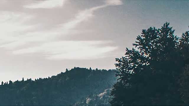 葵花籽油的功效与作用