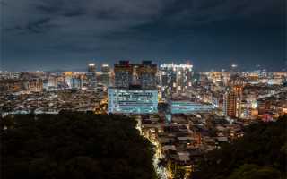 早酥梨是什么 早酥梨图片