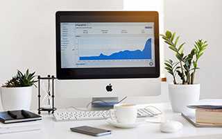 肉苁蓉泡酒有什么功效