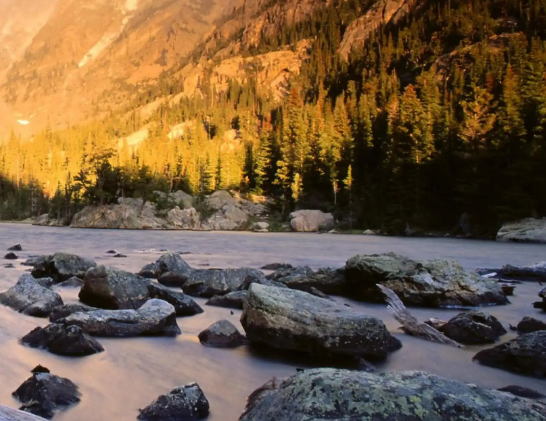铁棍山药的介绍